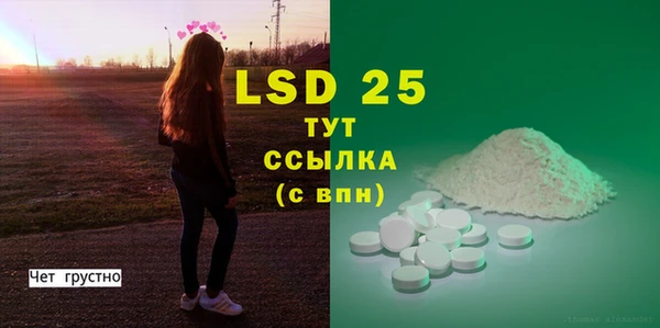 стаф Новодвинск