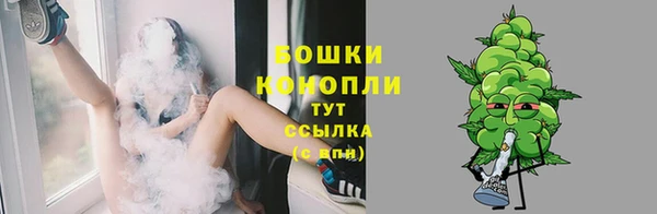 дмт Лабытнанги