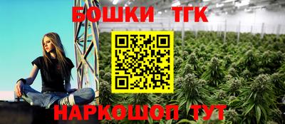 индика Бийск