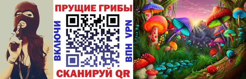 Псилоцибиновые грибы Magic Shrooms  купить наркоту  нарко площадка официальный сайт  Усть-Лабинск 