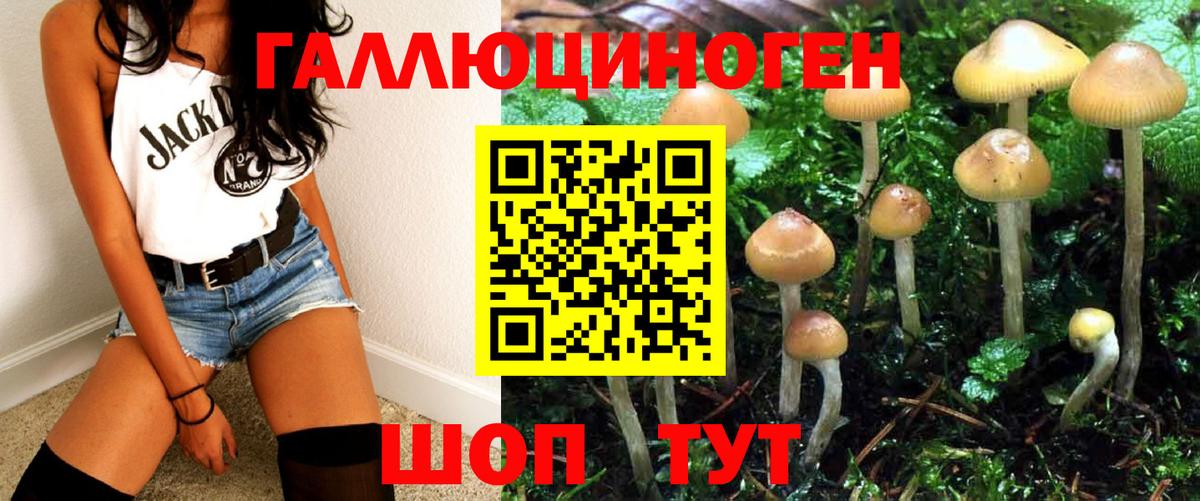 Псилоцибиновые грибы Psilocybe Усть-Лабинск