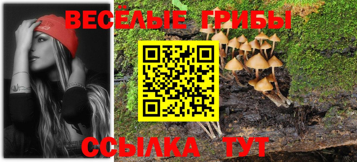 Галлюциногенные грибы ЛСД  Вход с VPN  Усть-Лабинск 